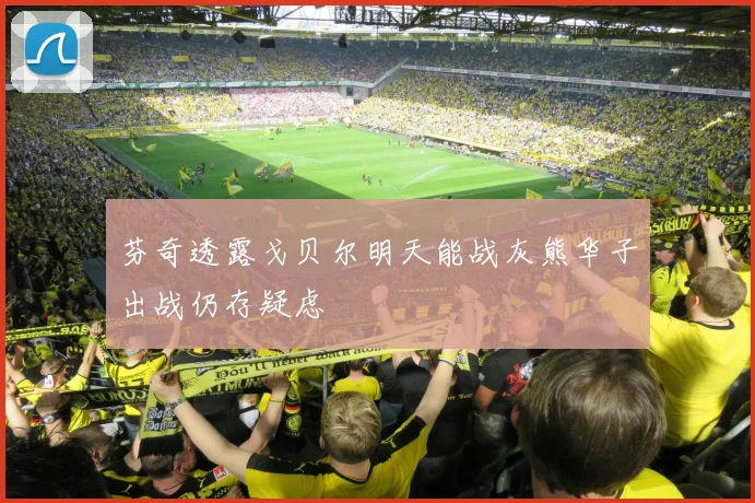 芬奇透露戈贝尔明天能战灰熊华子出战仍存疑虑