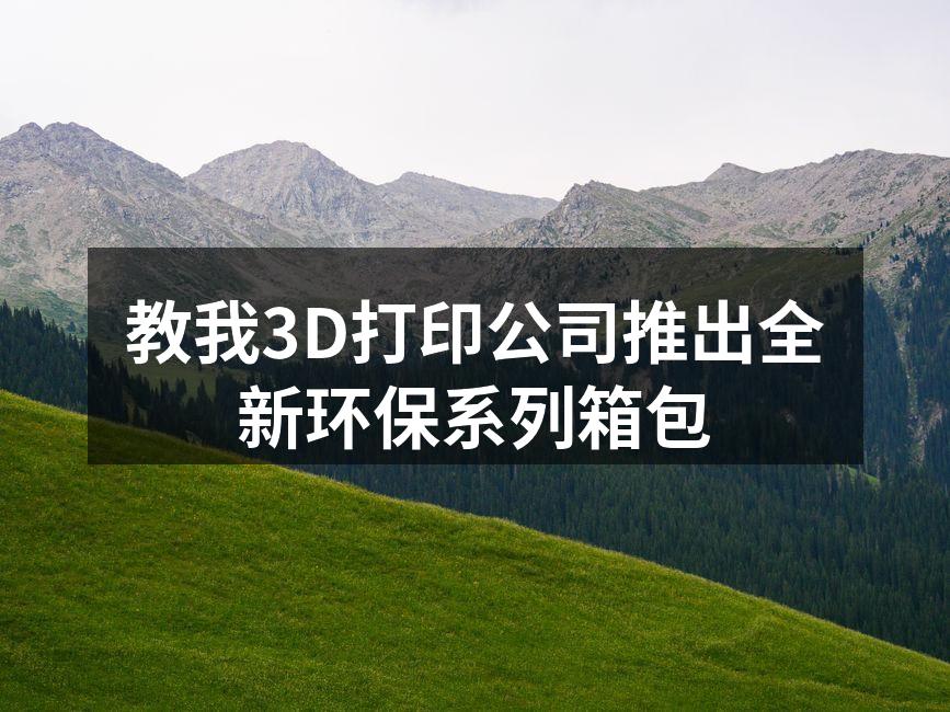 新款环保箱包展示